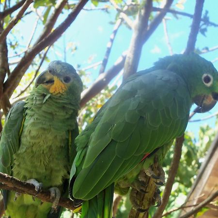 Refugio De Orquideas Villa Oxapampa Eksteriør bilde