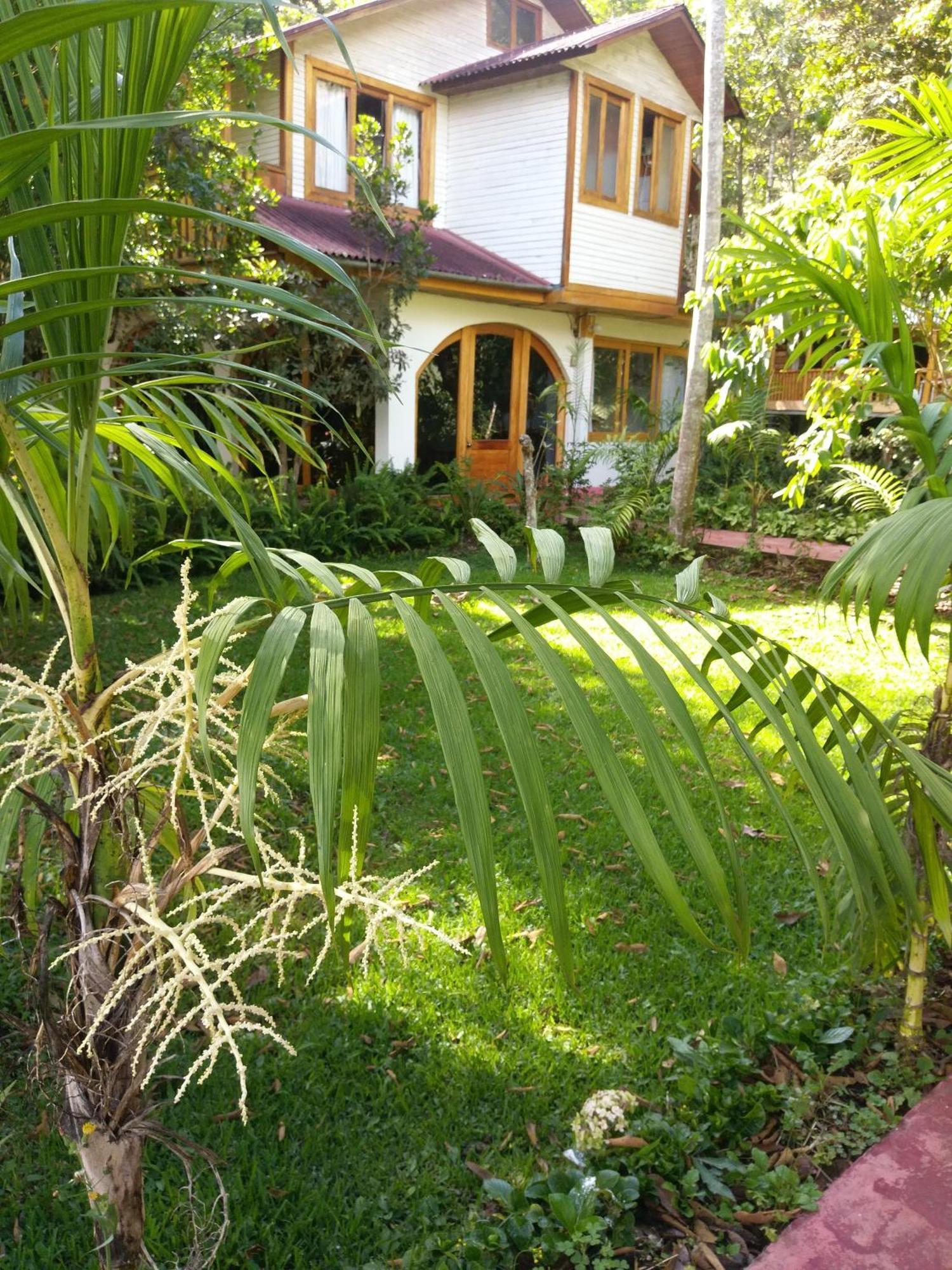Refugio De Orquideas Villa Oxapampa Eksteriør bilde