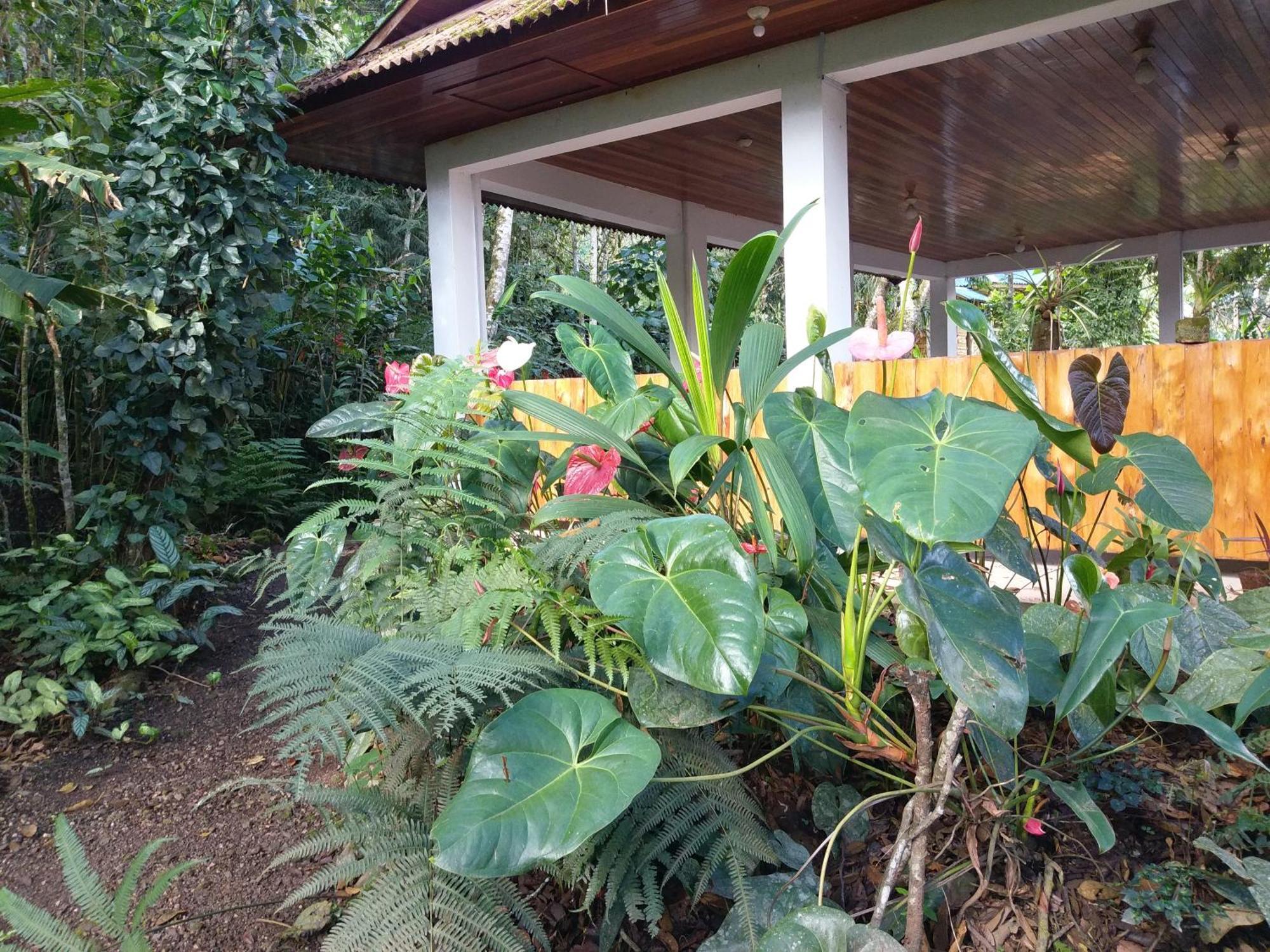 Refugio De Orquideas Villa Oxapampa Eksteriør bilde