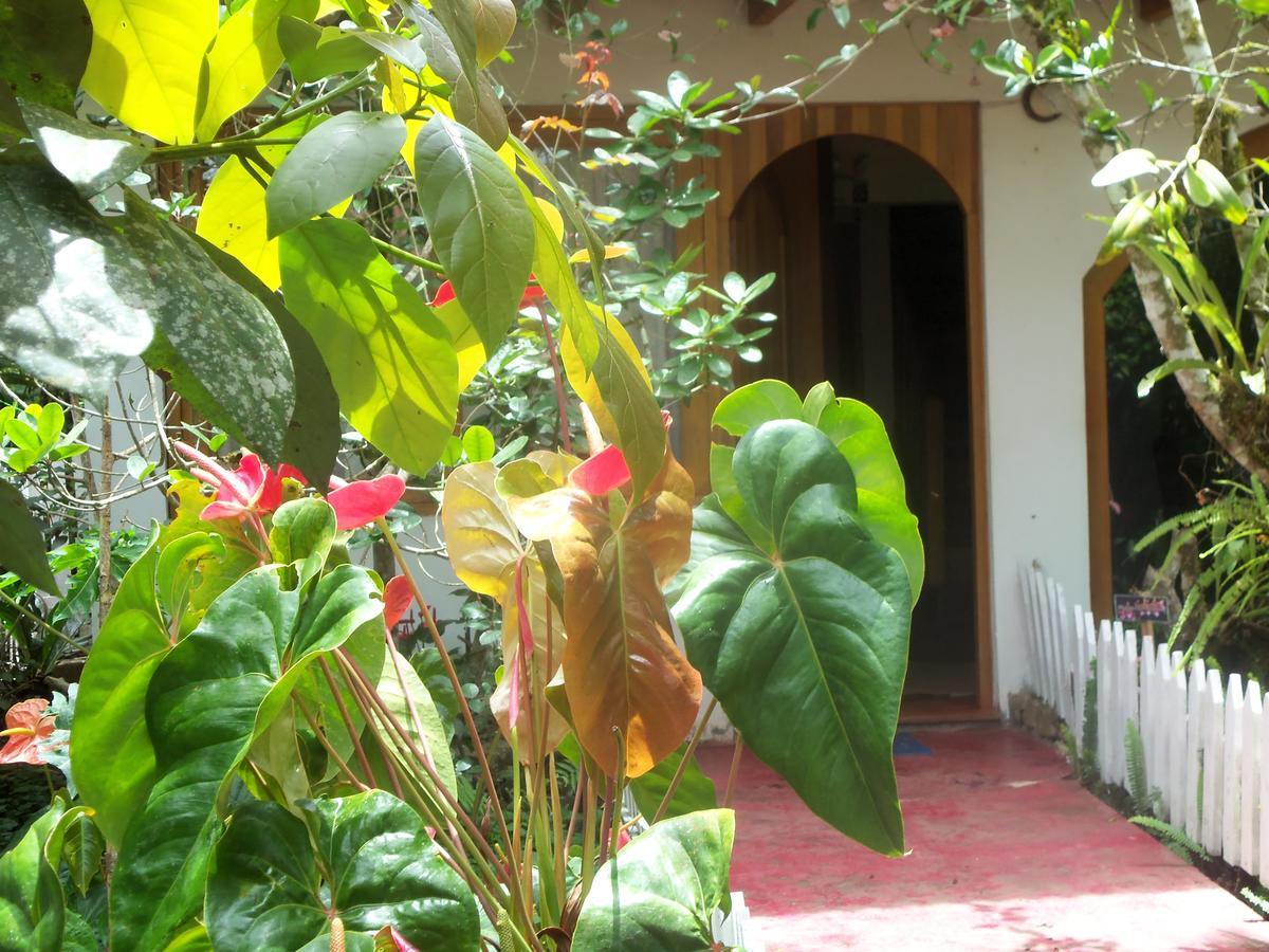 Refugio De Orquideas Villa Oxapampa Eksteriør bilde