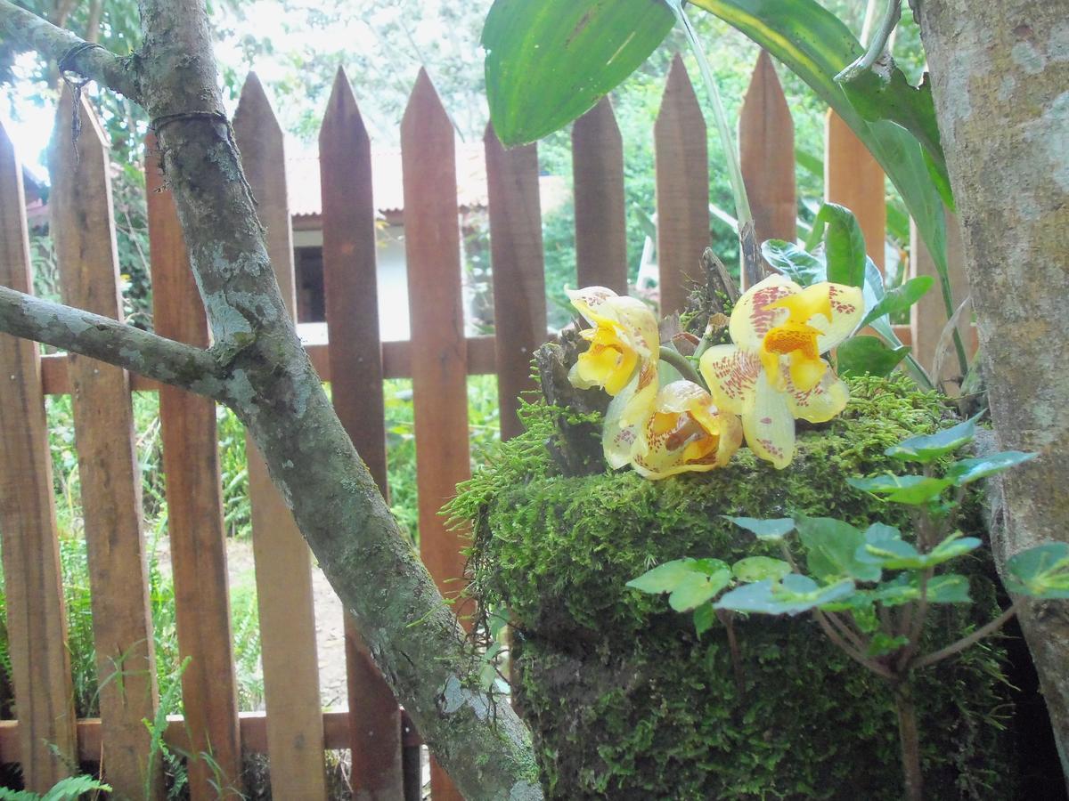 Refugio De Orquideas Villa Oxapampa Eksteriør bilde
